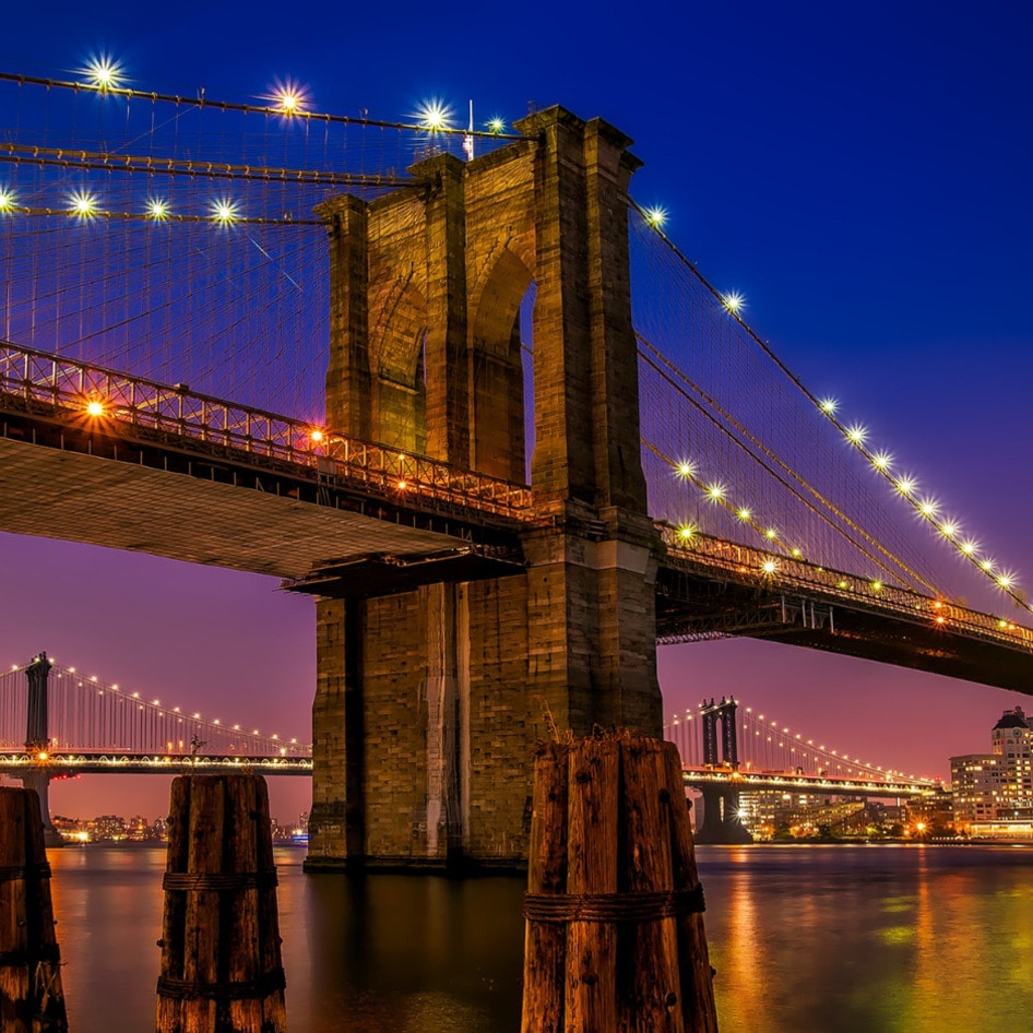 Best Vegan Cities in America: Why New York Fell Behind Portland, LA, and Austin